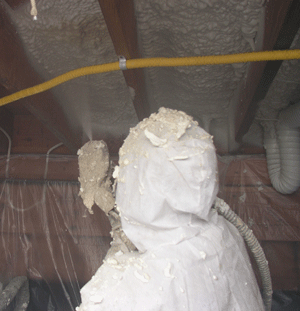  AL crawl space insulation